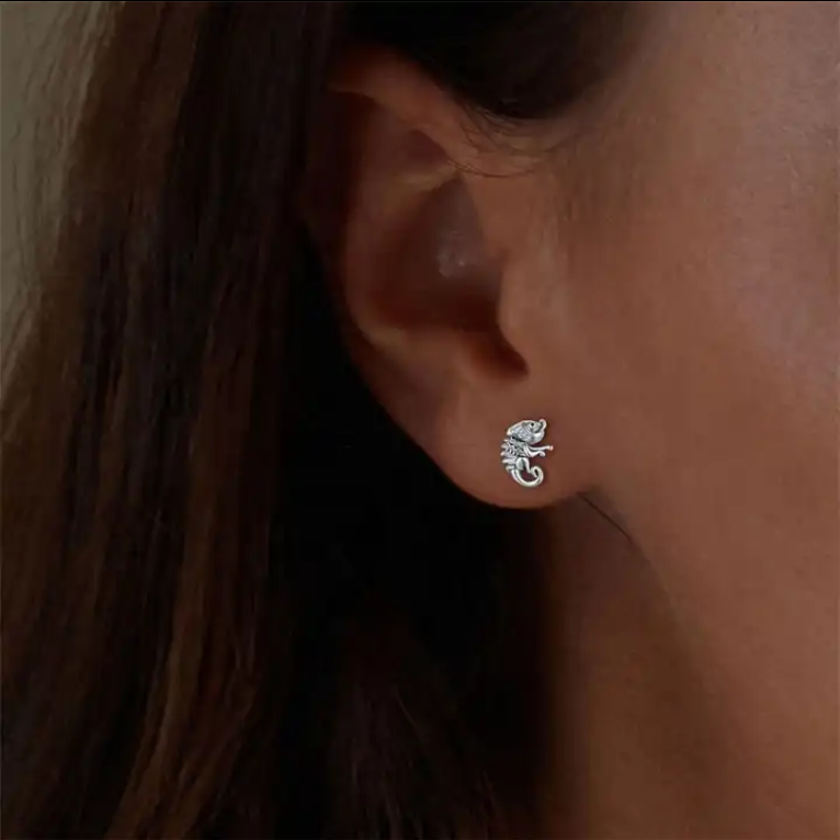 Pendientes Plata 925mls Camaleón | animales