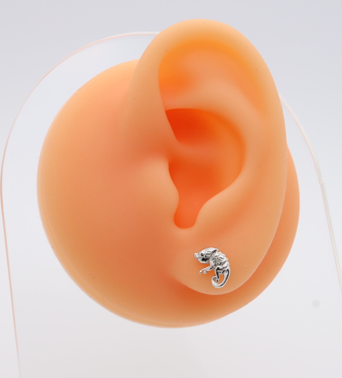 Pendientes Plata 925mls Camaleón | animales